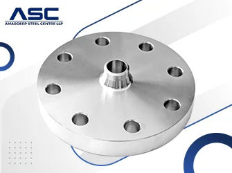 SS 317 Reducing Flanges